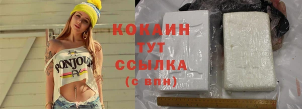 дживик Баксан