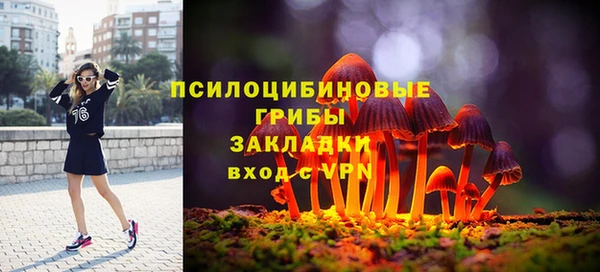 дживик Баксан