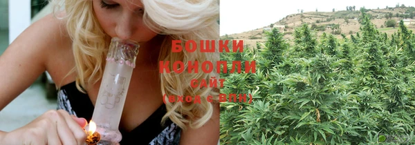 ПСИЛОЦИБИНОВЫЕ ГРИБЫ Балабаново