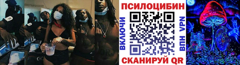 купить закладку Буинск Галлюциногенные грибы мицелий